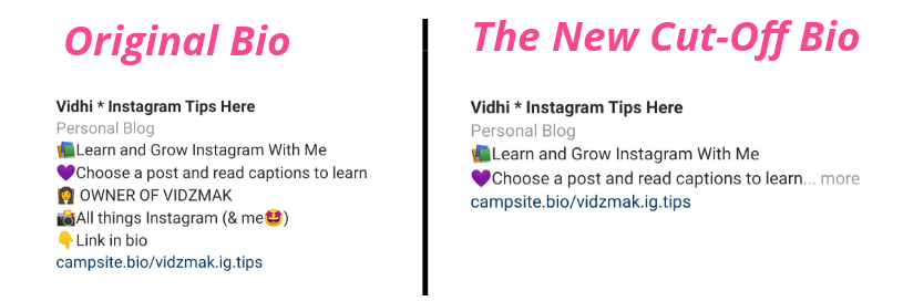 Instagram Update-The new cut-off Instagram bio